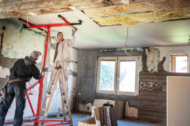 Best Insulation Maintenance and Repair in Stepping Stone, CO